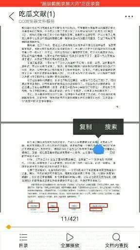 娱乐圈吃瓜421pdf,421PDF背后的惊人内幕大起底