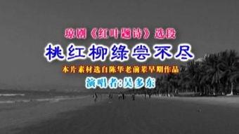 诗在线观看,穿越时空的诗歌盛宴