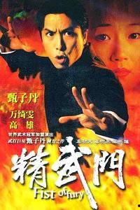 精武门连续剧在线观看,热血传奇，武术巅峰对决