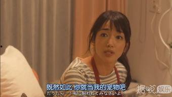 日剧宠物情人在线观看,治愈系宠物情缘，温馨治愈每一刻