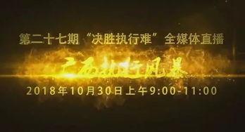 在线观看 聚焦,深度解析网络视频时代的现象与影响