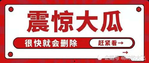 娱乐吃瓜八卦账号,明星幕后故事大曝光！