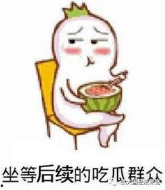 娱乐吃瓜酱制造舆论,揭秘娱乐圈幕后风云，制造舆论热点