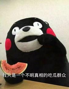 娱乐吃瓜酱小动物视频大全,趣味十足！小动物吃瓜视频大盘点