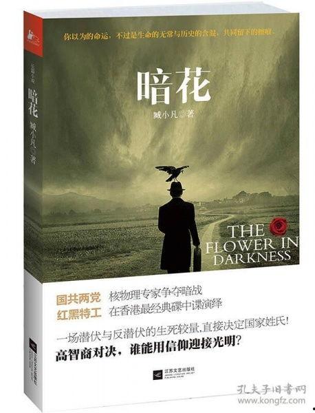 暗花-在线观看,揭秘网络暗流涌动的悬疑世界