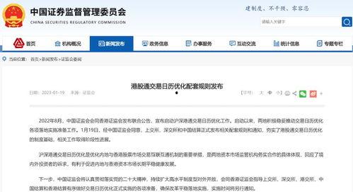 清算日在线观看中文版,揭秘虚拟世界中的真实对决