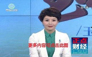 青海卫视回播在线观看,在线观看不容错过