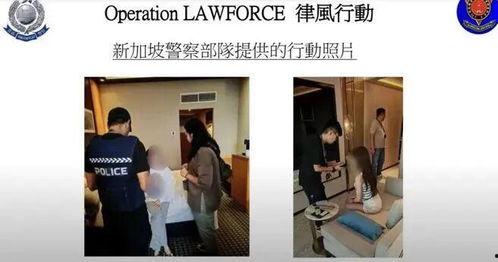 日本 成人 故事,揭秘传统与现代的交融