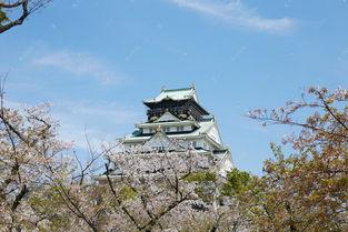 日本高清 免费,高清免费之旅