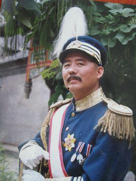 大帅传奇在线观看,风云变幻的民国风云录