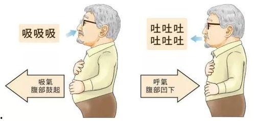 呼吸过度在线观看全集,揭秘呼吸过度背后的惊悚真相
