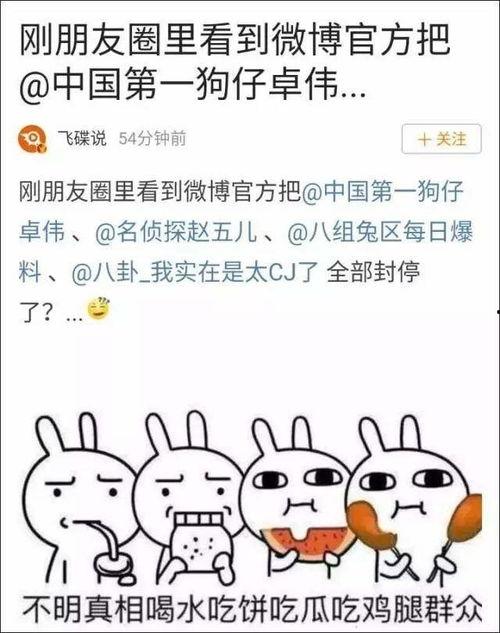 起诉娱乐吃瓜事件,揭秘吃瓜群众的起诉事件