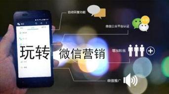 年线视频在线观看,在线观看年线视频，解锁投资智慧