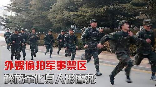军事禁区在线观看,在线观看背后的神秘世界