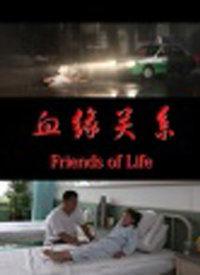血缘在线观看,在线揭秘家族传承的奥秘