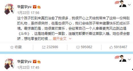 娱乐圈的那个吃瓜文件,真相与谣言的交织