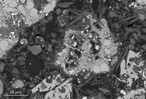 古墓丽h版在线观看,探寻神秘古墓的惊险之旅