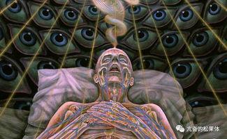 bbc轮回在线观看