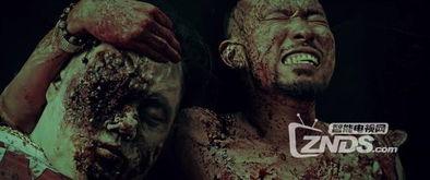 尸城竞技场在线观看,生死对决，在线惊悚盛宴