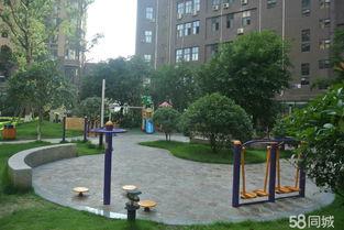 安国在线观看,揭秘古代药都的传奇魅力