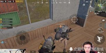 求人兽交在线观看