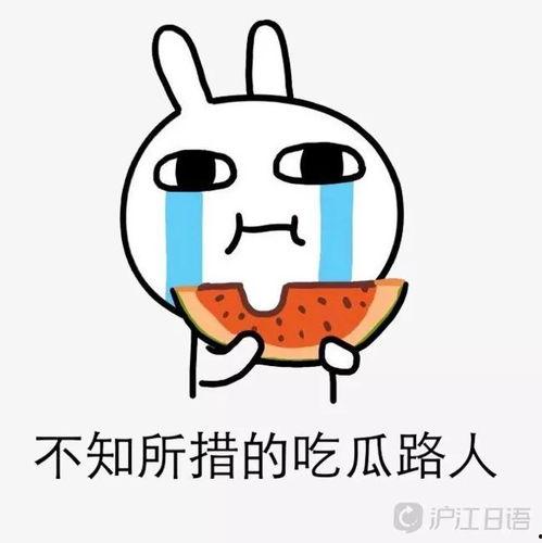 小气吃瓜娱乐,揭秘娱乐圈的“小气”现象