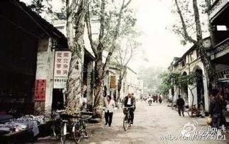 街口电影在线观看,在线观影新体验，畅享影视盛宴