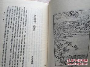 金平梅在线观看,穿越时空的浪漫传奇，在线观看带你领略古典韵味