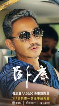 卧底赵达版在线观看,揭秘卧底生涯的惊险与智慧