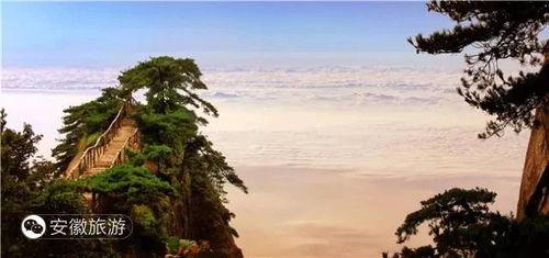 蓬莱仙山写真在线观看