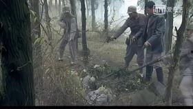 伏击 闯在线观看